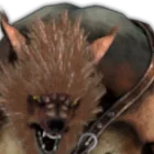 Lycaryon
